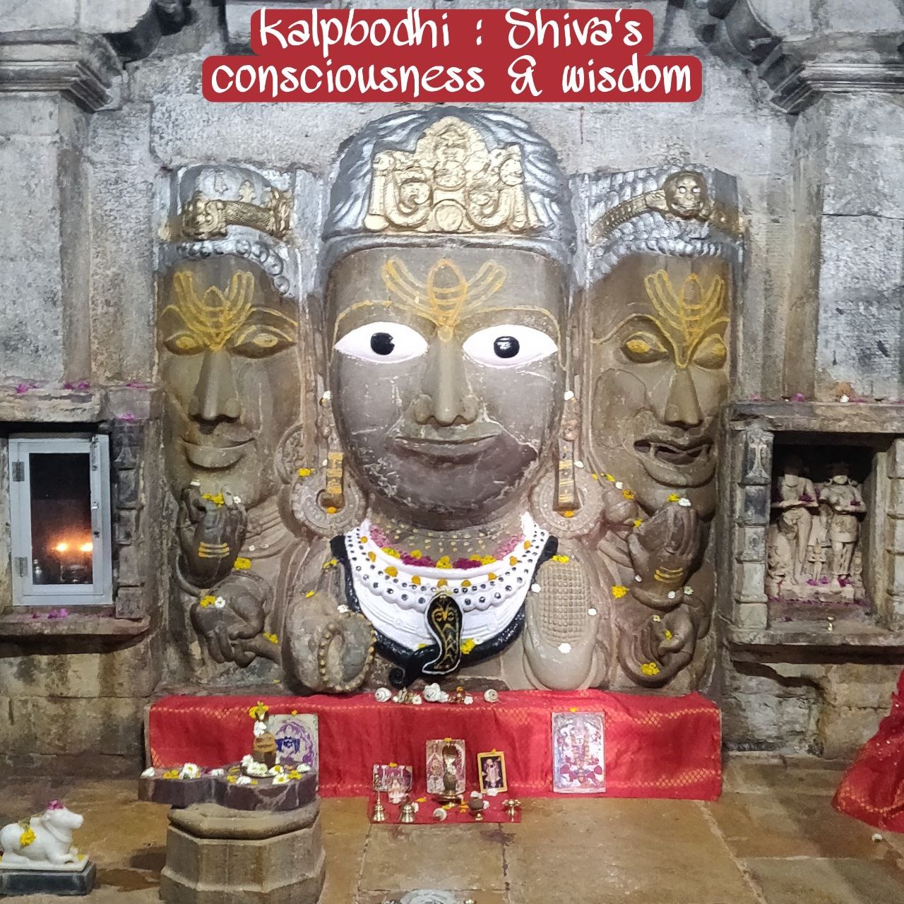 Kalpbodhi Mindfulness 